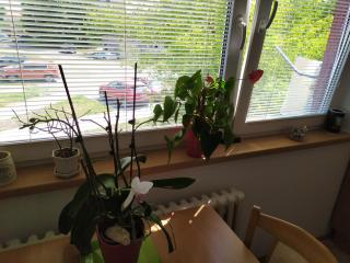 Apartmán Jan - Břeclav - 5