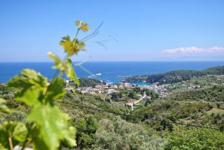 Angel Sunset suite - 8