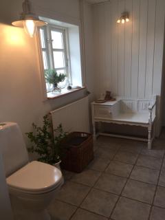 Aasesminde - Faaborg - 6