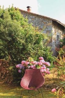 La Ventanita Del Campo - La Cavada - 3