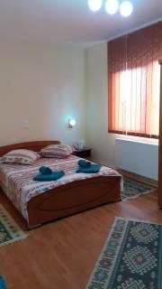 Pensiunea Casa Popan - Sighetu Marmaţiei - 1