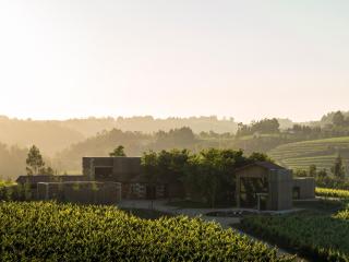 Monverde - Wine Experience Hotel - by Unlock Hotels - Amarante - 4