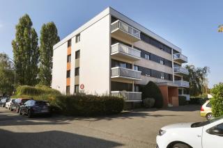 Ron's Apartment - Colmar - 3