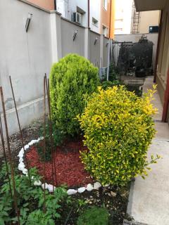 Vila Doda - Eforie Nord - 3
