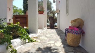 Loukoulos' maisonette - Marathokampos - 6
