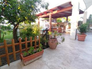 La pomelia - 7