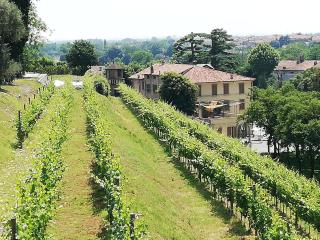 Franciacorta flat & bollicine - Passirano - 2