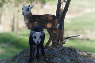 Hidingsta gård B&B - 2