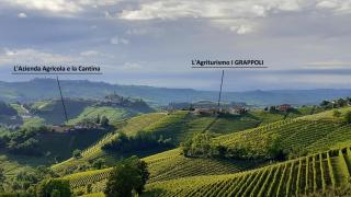 Agriturismo I Grappoli - Serralunga d'Alba - 5