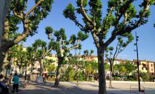 La Victoire Boutique Hotel - Vence - 6