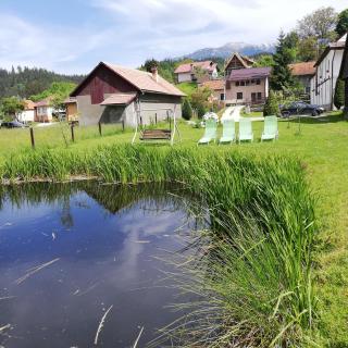 Guest House Piatra Craiului - Bran - 3
