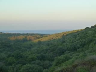 Alcaidesa golf and nature - San Roque - 5