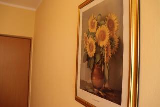Apartments Vesna - Rab (Arbe) - 9