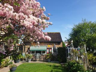 De Goudsbloem - Noordstraat 15 - 9