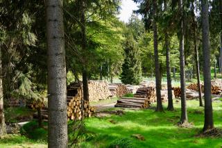 Pension zum Ritter - Katzhütte - 3