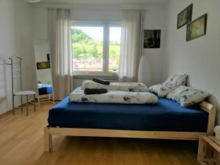 Ferienwohnung "Burgpanorama" in der Südpfalz - Leinsweiler - 1