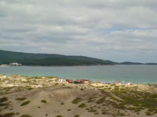 ТРОПИКАНА - 4