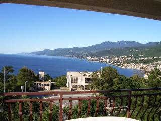 Apartments Villa Luciana - Fiume (Rijeka) - 8