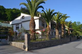 Apartamentos Las Palmeras - Cangas de Onís - 0