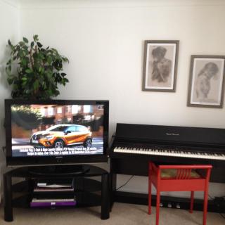 CHERIE's HOUSE 1 BEDROOM GARDEN & PARKING - Sandridge - 1
