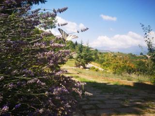 La Locanda dei Cavalieri - Mormanno - 2