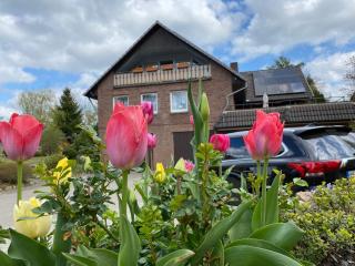 Haus Petersen - Undeloh - 9
