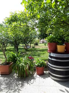 Fehér Rózsa Apartman - Cserszegtomaj - 2