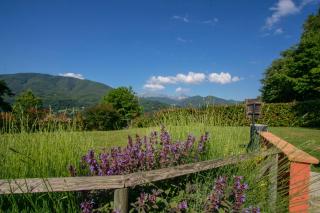 Agriturismo Braccicorti - Pieve Fosciana - 5