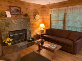 Misty Creek Log Cabins - Maggie Valley - 8