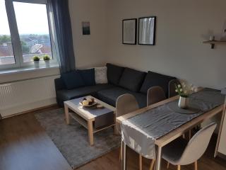 KaVi Apartments #1, TOP sunset view - Plzeň - 9