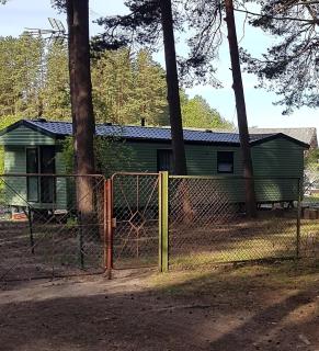 Romantic HOLIDAY HOME in the pine forest - 5