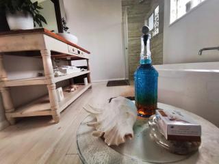 The Blue Dragonfly - Jeffreysbaai - 3