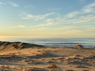 The Blue Dragonfly - Jeffreysbaai - 1