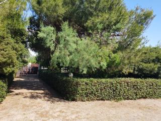 Villa Cino - Punta Prosciutto - 4