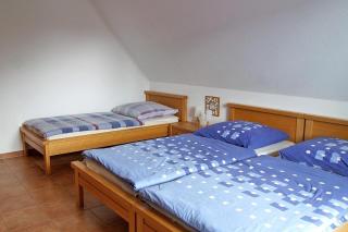 Ferienhaus das Blaue Haus WS-9a - Born - 3
