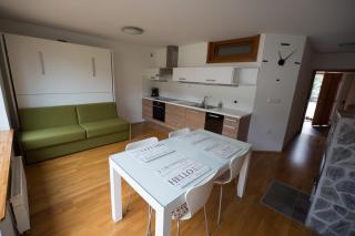 APARTMENT ALPIN BOVEC - 2