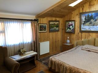 Villa Arefyevykh - Slavske - 1