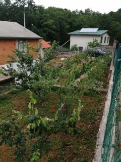 Apartman Aronia - Kotor - 5
