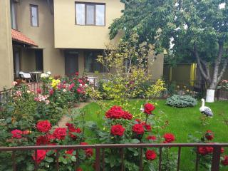 Villa Mugur - 2 Mai - 5