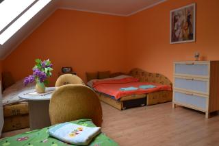 Gospodarstwo Agroturystyczne Damroka - 5