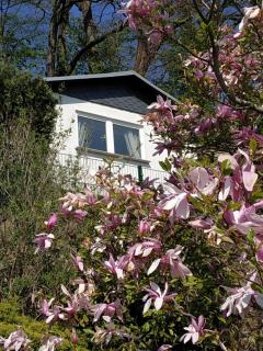 Das Ferienhaus mit Aussicht - Pirna - 0