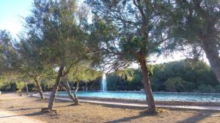 Apartamento entre playa y dunas - La Mata - 3
