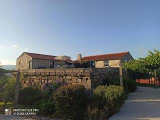 Quinta do Caritel - Vouzela - 6