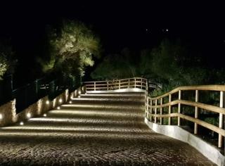 Tenuta Petra Manna - Palau - 2