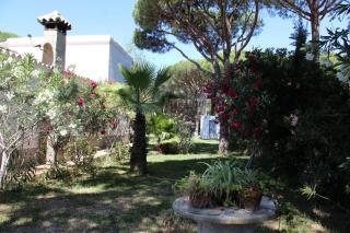 Villa andaluza en zona Playa Barrosa con piscina y barbacoa - 5