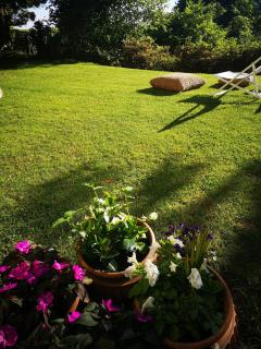 Casa Vacanze Le Violette - Brunate - 6