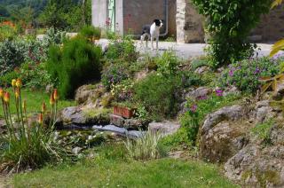 Gîte des 2 Pat' - Pouzauges - 6