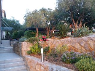 Apartmani Alma - Punat - 4
