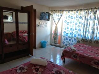 Hotel Plaza Aleman - León - 8