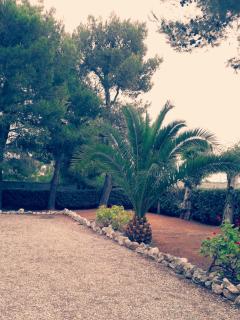 Casa Andromeda - Gallipoli - 5